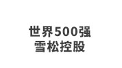 世界500強(qiáng)雪松控股
